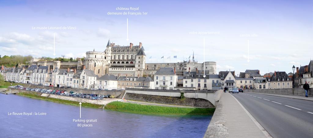 Appartement De Charme Climatise Pour 6 A 8 Pers アンボワーズ 部屋 写真
