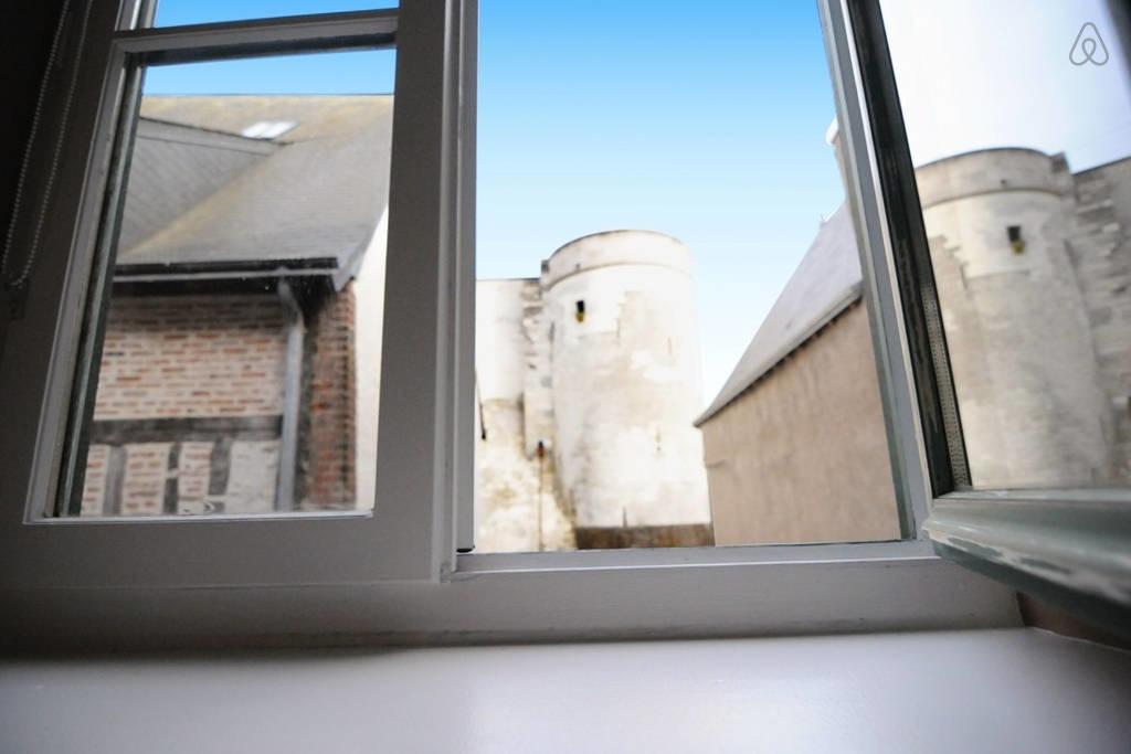 Appartement De Charme Climatise Pour 6 A 8 Pers アンボワーズ 部屋 写真