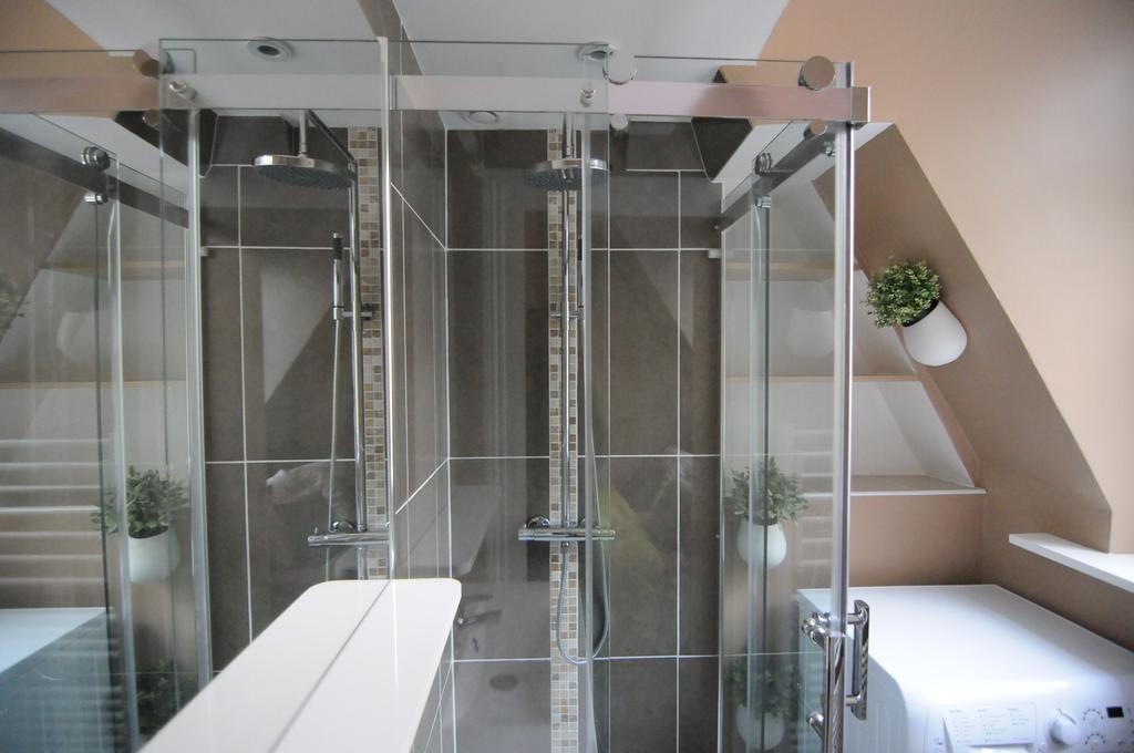 Appartement De Charme Climatise Pour 6 A 8 Pers アンボワーズ 部屋 写真