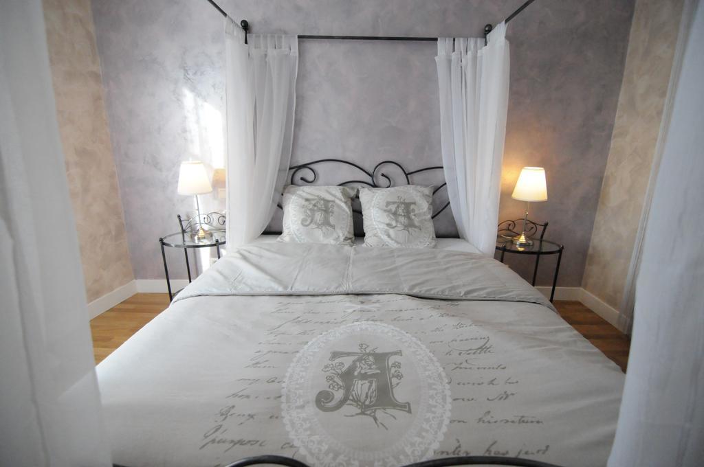 Appartement De Charme Climatise Pour 6 A 8 Pers アンボワーズ 部屋 写真